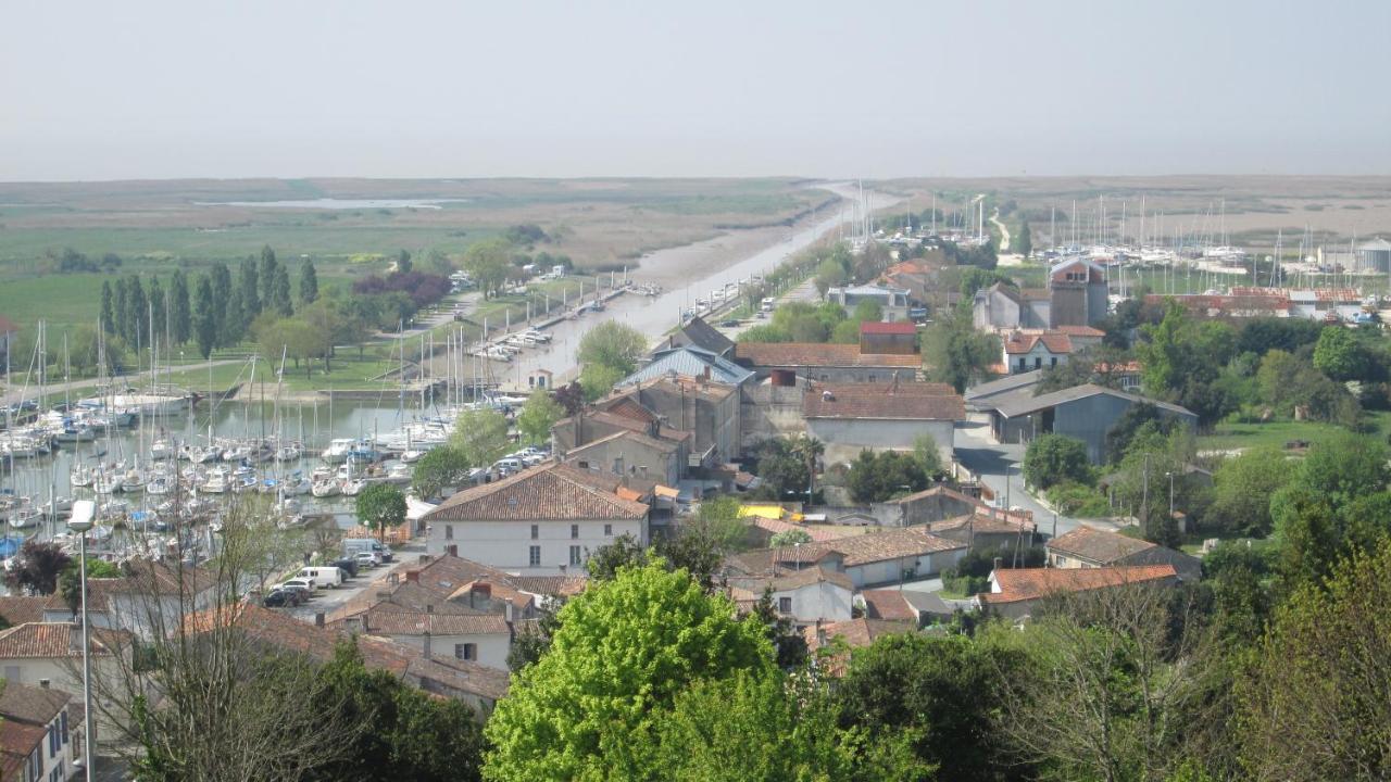 Grande Maison Charentaise Avec Vue Sur Le Chenal Superbes Couches De Soleil Sur L Estuaire De La Gironde! Mortagne-sur-Gironde Exterior foto